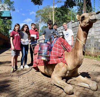 ISK Engineering Students Tackle Deforestation, With Camels!